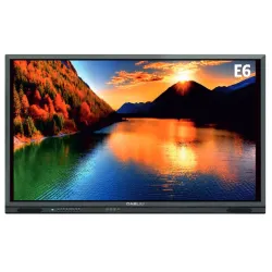 Monitor interattivo Dabliu Touch  E6 55" 4k 40 tocchi