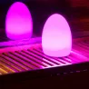 Lampada LED Multicolore di forma Ovale 
