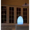 Lampada LED Multicolore di forma Ovale 