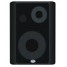 Fanvil iW-SA30 SIP speaker (altoparlante VoIP)