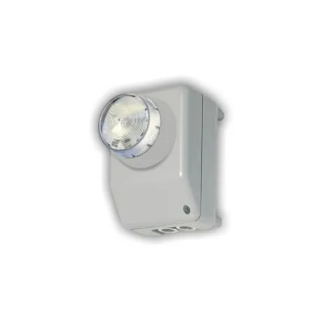 Suoneria con luce e suono Trillo flash 201T