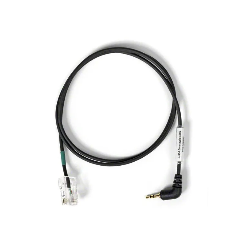 Sennheiser cavo Jack 2,5 mm per cuffie wireless DW SD