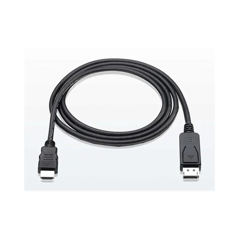 Cavo Convertitore da DisplayPort a HDMI 1 m