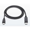 Cavo Convertitore da DisplayPort a HDMI 2 m