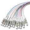 Set 12 Pigtail LC 50/125&micro;, OM3