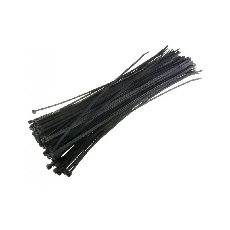 Fascette Fermacavi Autobloccanti 100x2,5mm in Nylon 100pz Nero