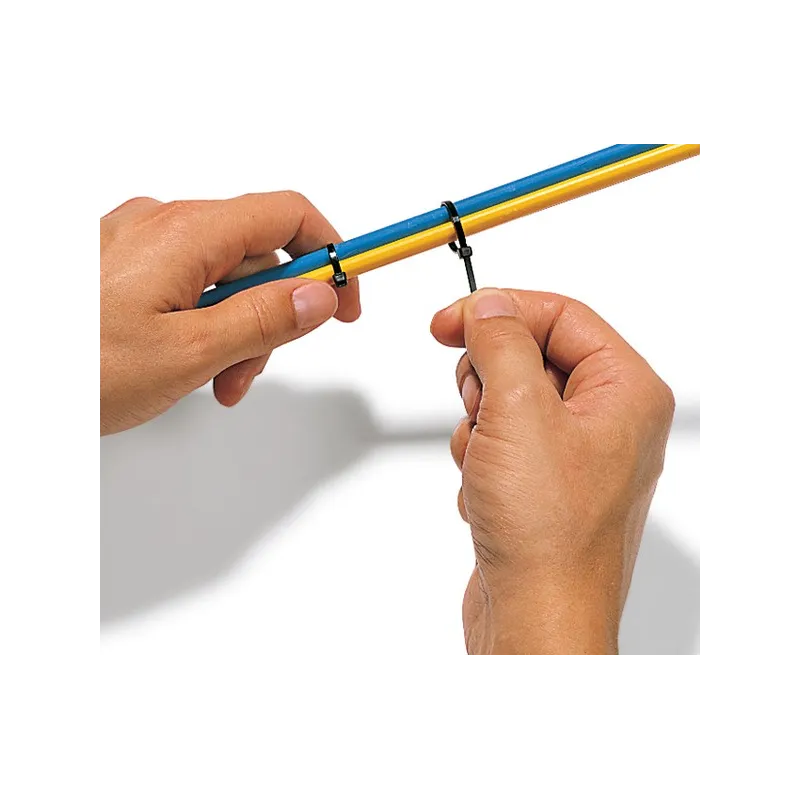 Fascette Fermacavi Autobloccanti 100x2,5mm in Nylon 100pz Nero