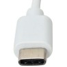 Cavo Convertitore Adattatore da USB-C M a Gigabit Ethernet