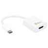 Cavo Convertitore Adattatore da USB-C M a HDMI 1.4 F