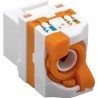 Frutto Keystone RJ45 Cat.6 UTP Tooless