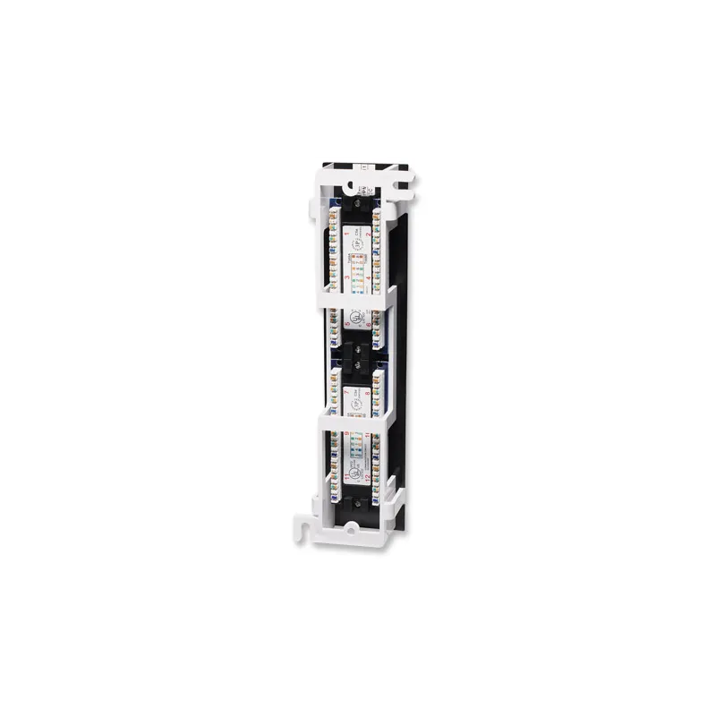 Pannello Patch 12 Porte UTP Cat5e Installazione a Muro