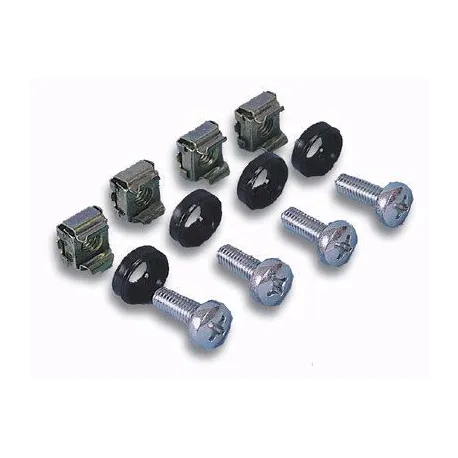 Kit Set 50 Viti 50 Dadi e 50 Rondelle per Montaggio Rack Silver