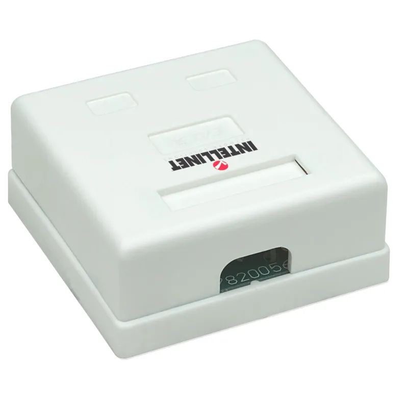 Presa a Muro con 2 Frutti RJ45 Cat. 5E UTP Beige