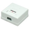 Presa a Muro con 2 Frutti RJ45 Cat. 5E UTP Beige