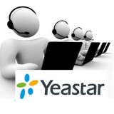 Yeastar licenza statistiche code di chiamata S300