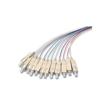 Set 12 Pigtail SC 50/125&micro;, OM2