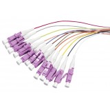 Set 12 Pigtail LC 50/125&micro;, OM4