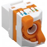 Frutto Keystone RJ45 Cat.6 UTP Tooless