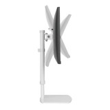 Supporto da tavolo per monitor 17-27''