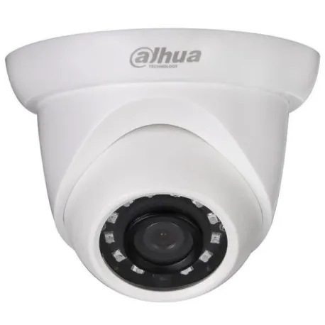 Dahua IPC-HDW1230S IP camera eyeball 2MP PoE IP67