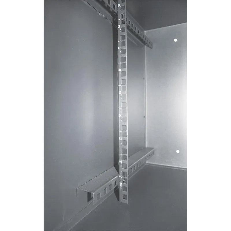 Armadio Rack 19'' a muro 9unit&agrave; con serratura di sicurezza