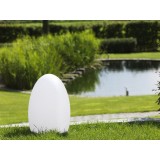 Lampada LED Multicolore di forma Ovale 