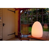 Lampada LED Multicolore di forma Ovale 