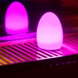 Lampada LED Multicolore di forma Ovale 