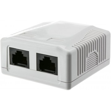Presa a Muro con 2 Frutti RJ45 Cat.6 UTP Beige