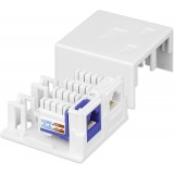 Presa a Muro per 2 Frutti Keystone Bianco