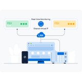 Yeastar Hot Standby Licenza annuale 32CC EP