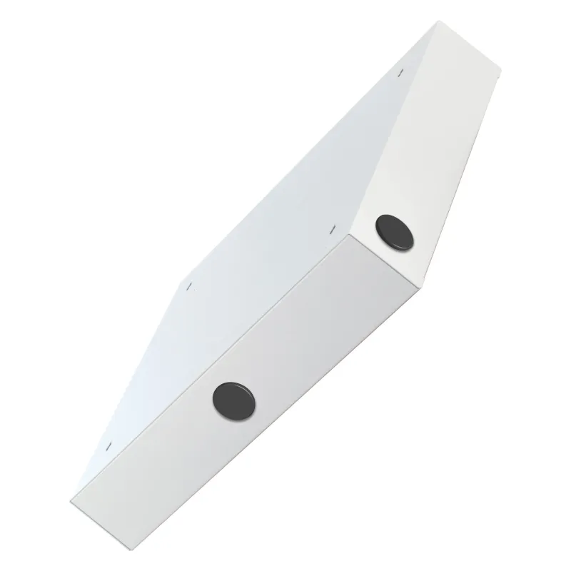 Box di Sicurezza per Notebook e Accessori per LIM Basic Bianco RAL 9016