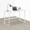 Scrivania per Computer Multifunzionale Bianco