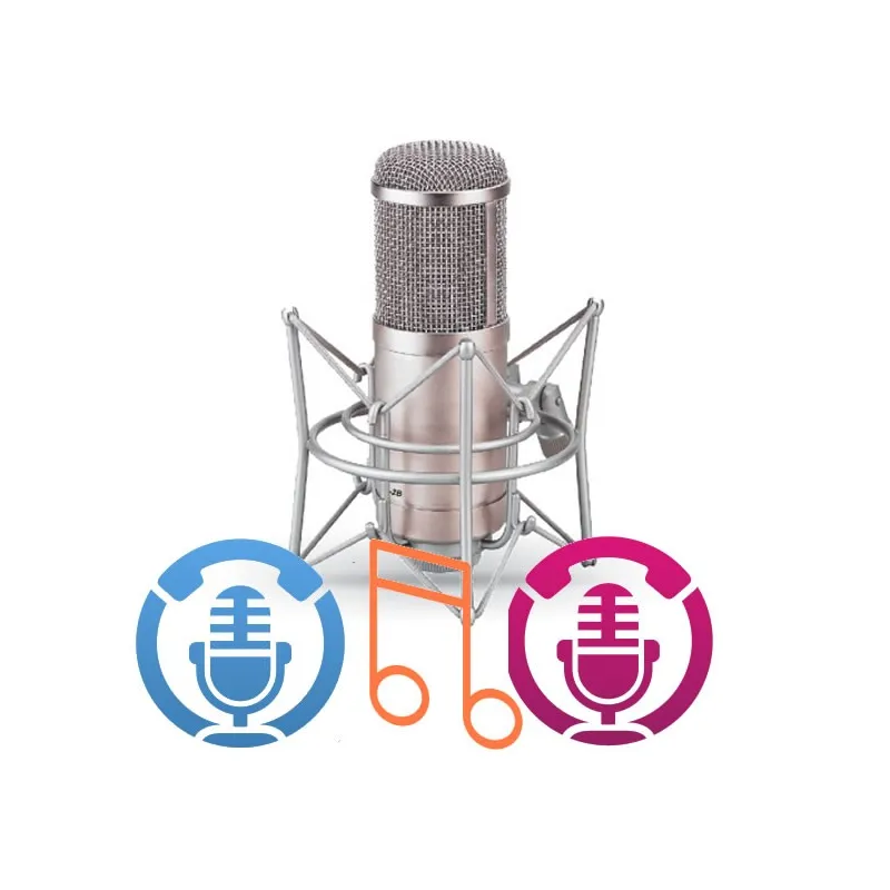1 messaggio audio TOP base in Italiano personalizzato