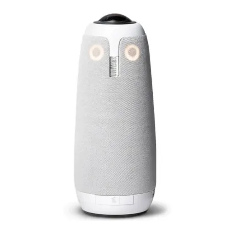 Meeting Owl 3