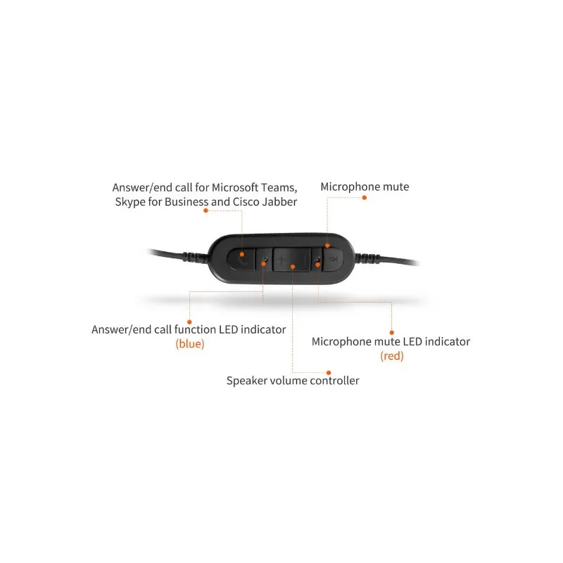 Cuffia USB-A stereo padiglioni grandi EZD-806