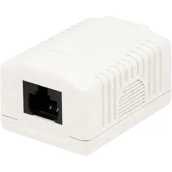 Presa a Muro con 1 Frutto RJ45 Cat.6 UTP Beige