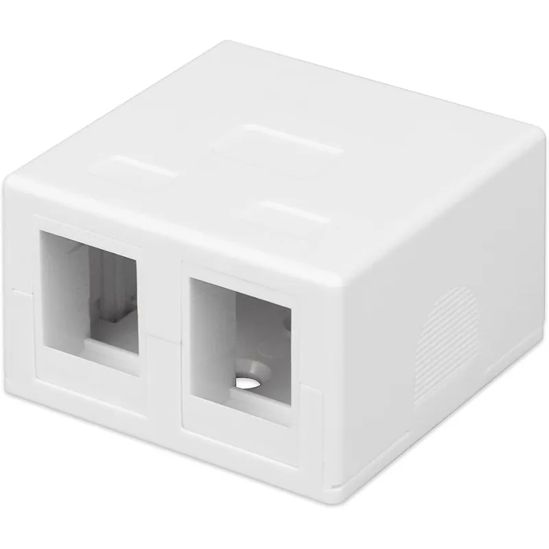 Presa a Muro per 2 Frutti Keystone Bianco