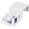 Presa a Muro per 2 Frutti Keystone Bianco