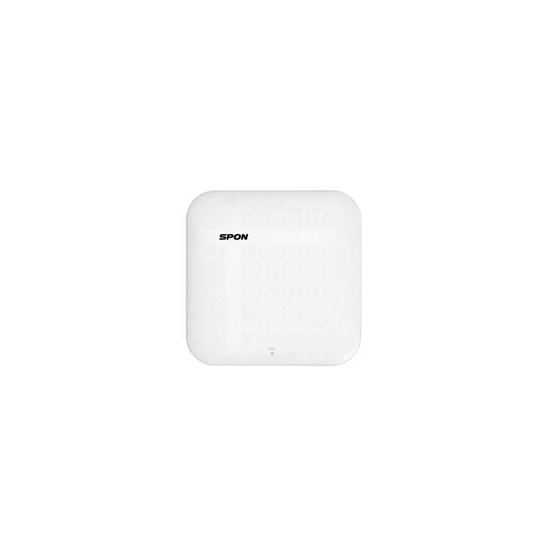 Wireless Access Point dual band Spon