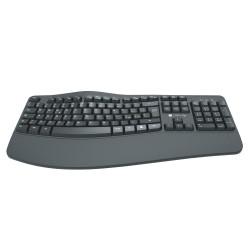 Tastiera Ergonomica Wireless Slim Design Curvo