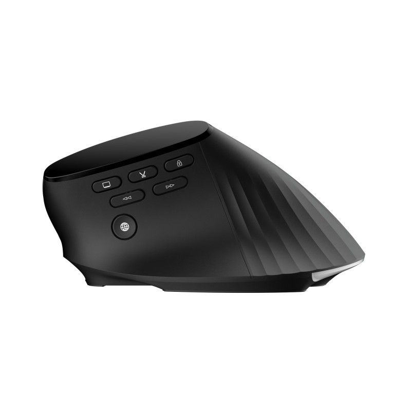 Mouse Ergonomico RGB Wireless + USB 2.4G Nero