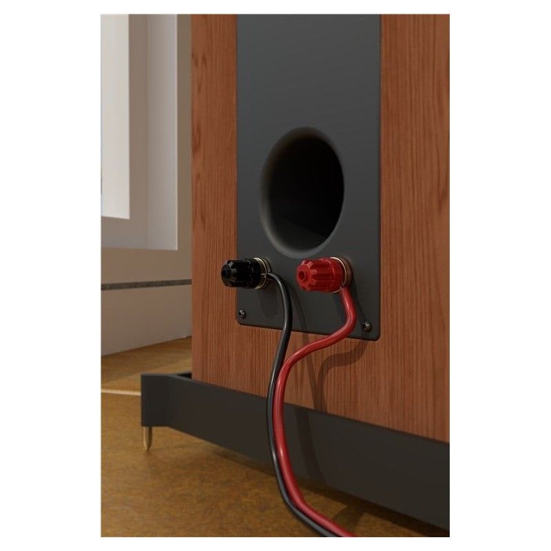 Cavo Audio per diffusori acustici