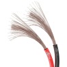 Cavo Audio per diffusori acustici