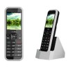 Incom ICW-1000G cordless wifi 